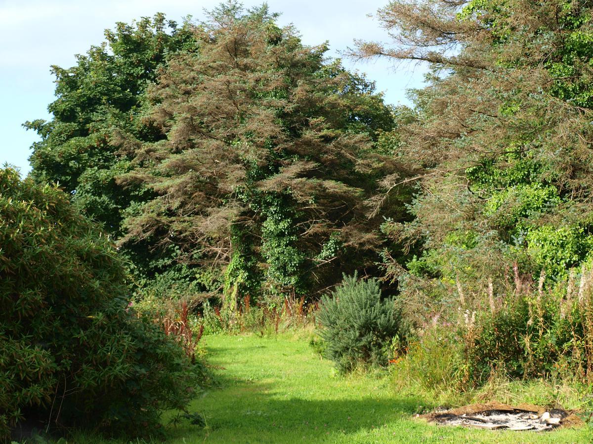 The River House Dungloe Luaran gambar